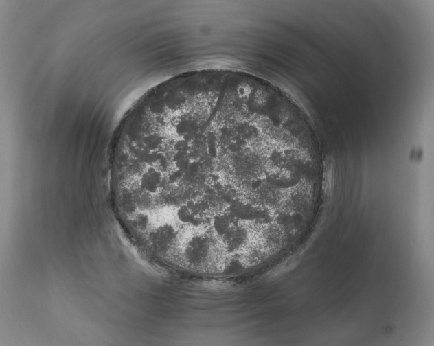 X0000110871117200907161432