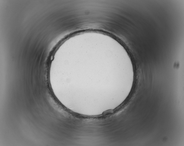 X0000110871118200907161432