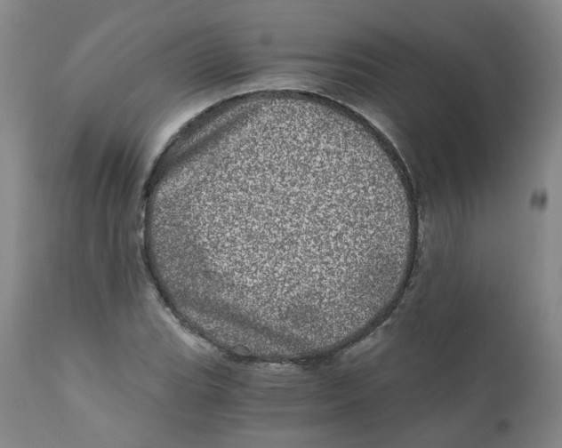 X0000110871119200907161432