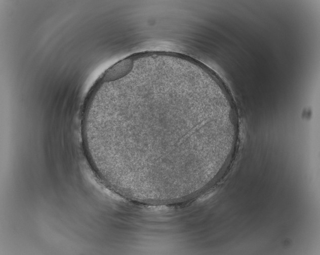 X0000110871120200907161432