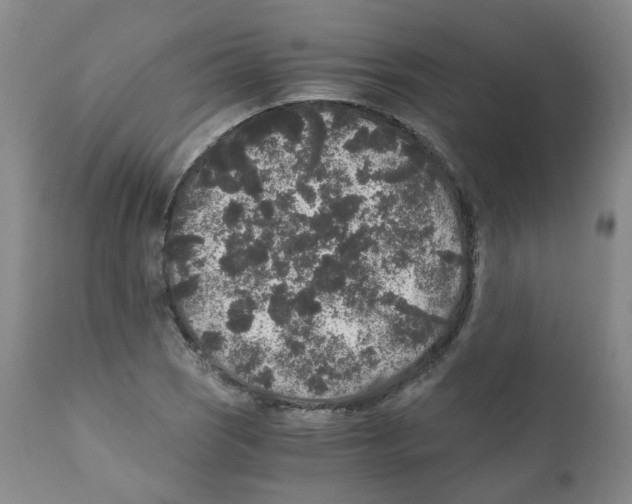 X0000110871121200907161432