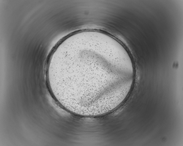 X0000110871124200907161432