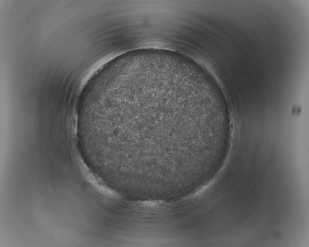 X0000110871125200907161432