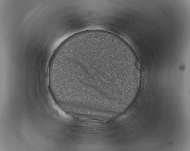 X0000110871127200907161432