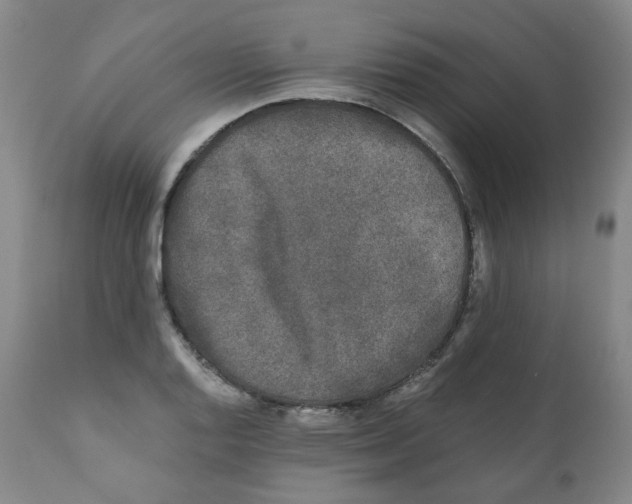 X0000110871128200907161432