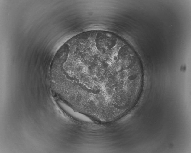 X0000110871129200907161432