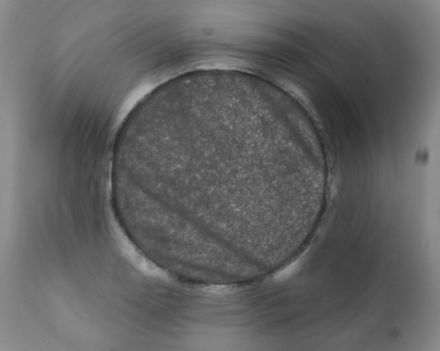 X0000110871130200907161432