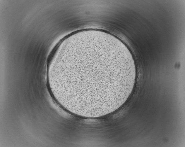 X0000110871132200907161432