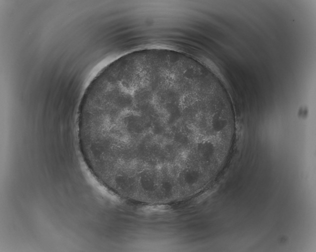 X0000110871133200907161432