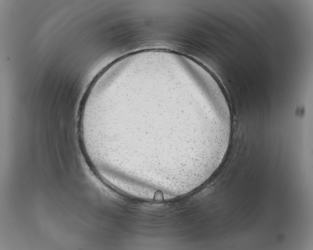 X0000110871135200907161432