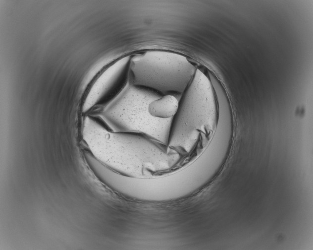 X0000110871138200907161432