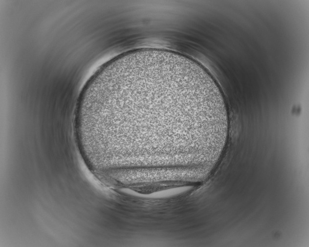 X0000110871139200907161432