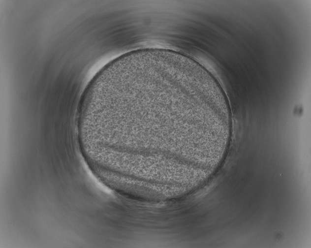 X0000110871141200907161432