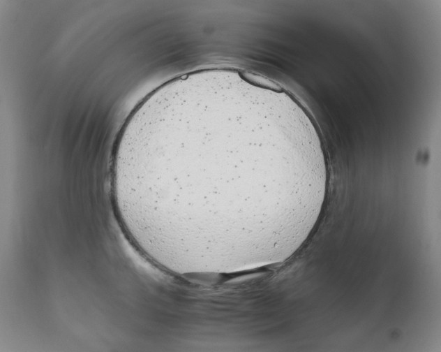 X0000110871143200907161432