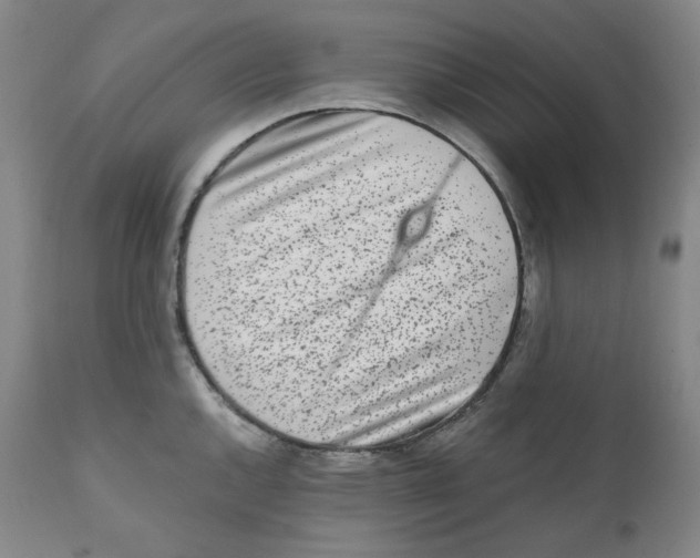 X0000110871144200907161432