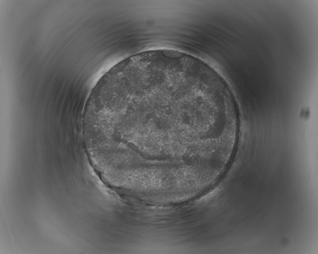 X0000110871145200907161432