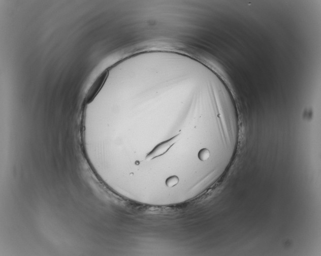 X0000110871146200907161432