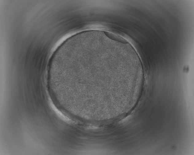 X0000110871147200907161432