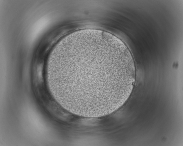 X0000110871150200907161432