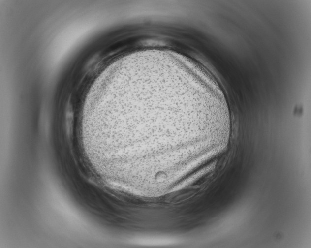 X0000110871151200907161432