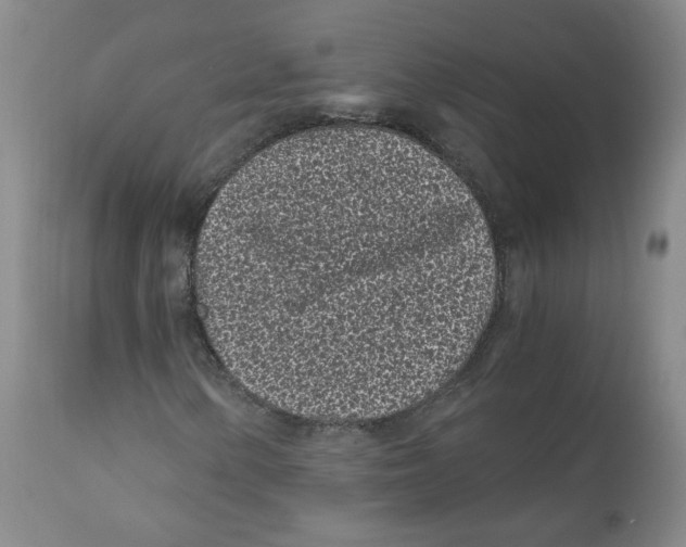 X0000110871154200907161431