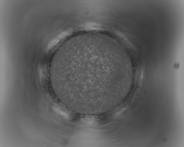 X0000110871157200907161431