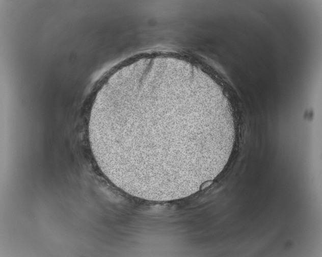 X0000110871160200907161431