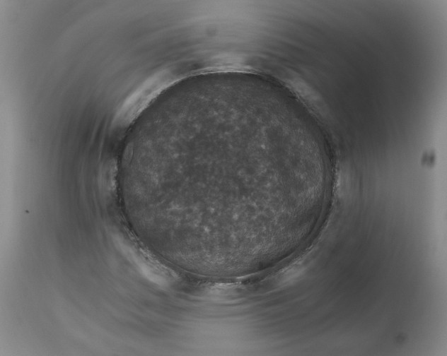 X0000110871161200907161431