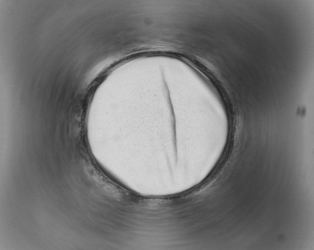 X0000110871163200907161431