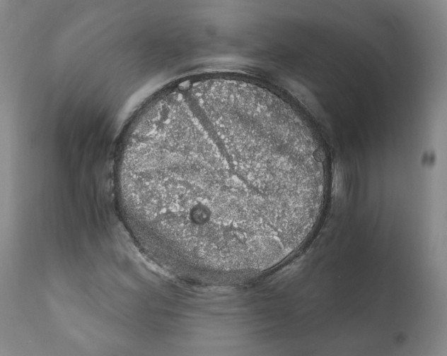 X0000110871164200907161431