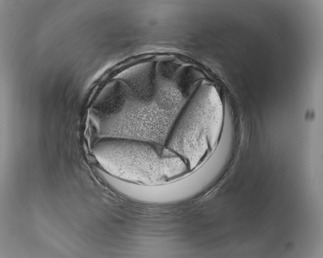 X0000110871165200907161431