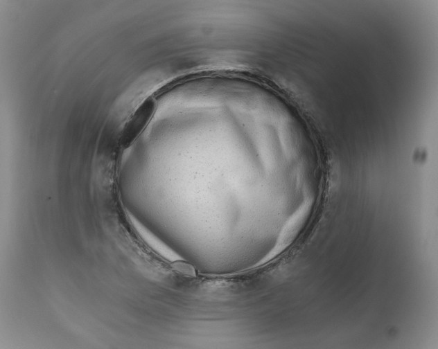 X0000110871169200907161431