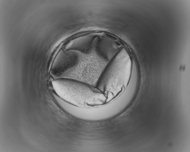 X0000110871173200907161431