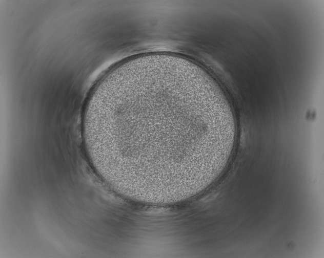 X0000110871174200907161431