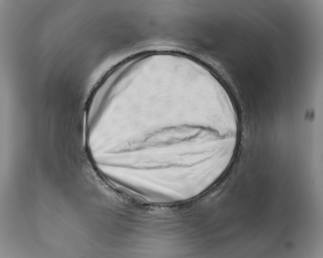 X0000110871175200907161431