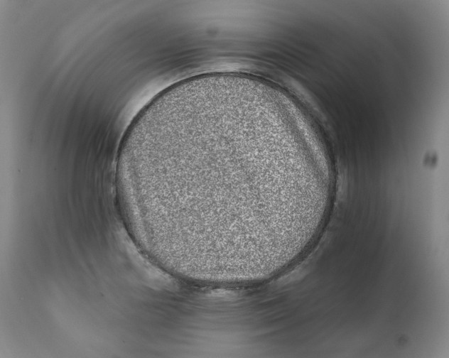 X0000110871178200907161431