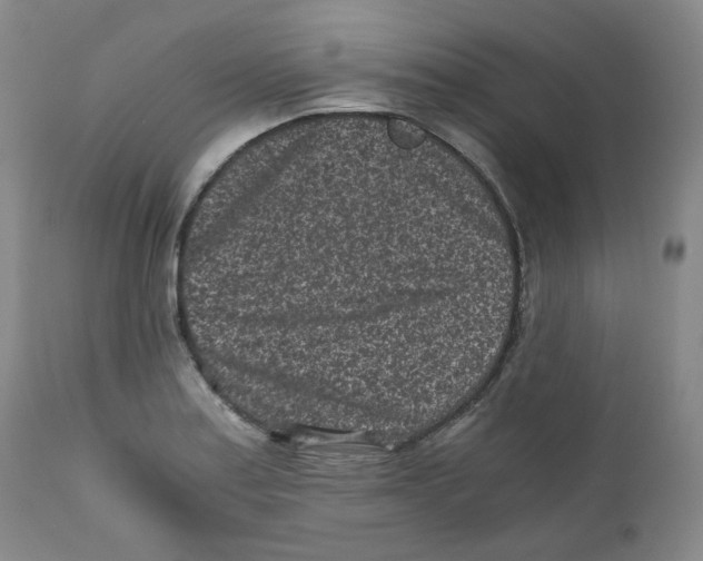 X0000110871179200907161431