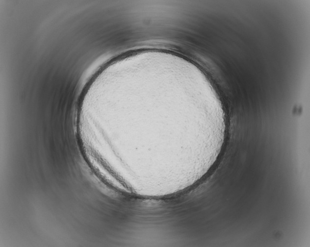 X0000110871180200907161431