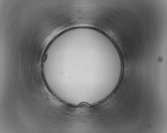 X0000110871181200907161431