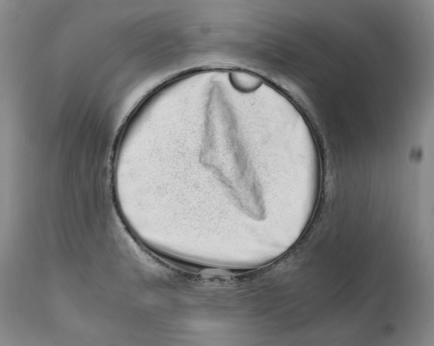 X0000110871183200907161431