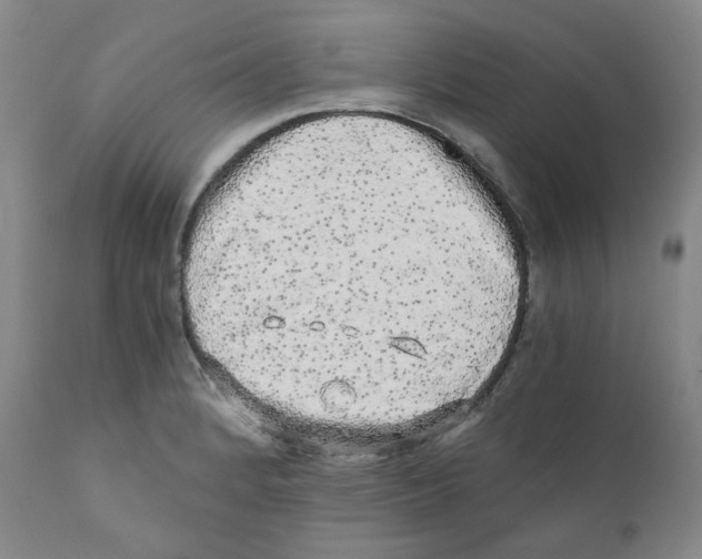 X0000110871184200907161431