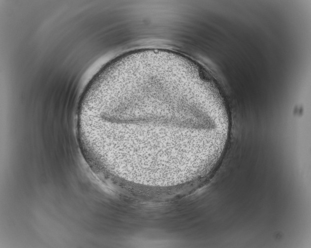 X0000110871188200907161431