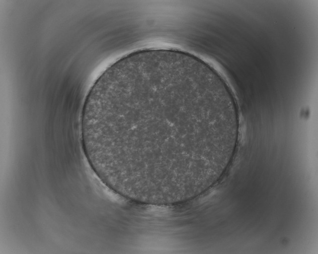 X0000110871191200907161431