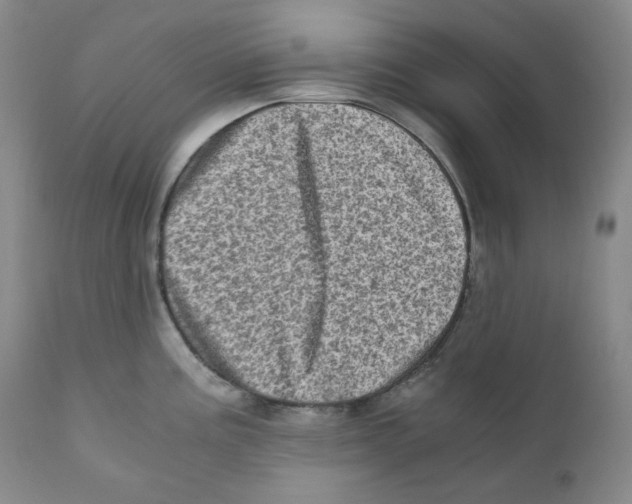 X0000110871195200907161431