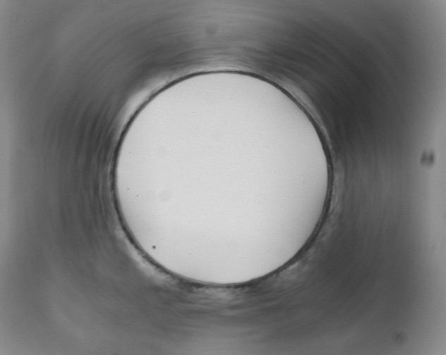 X0000110871197200907161431