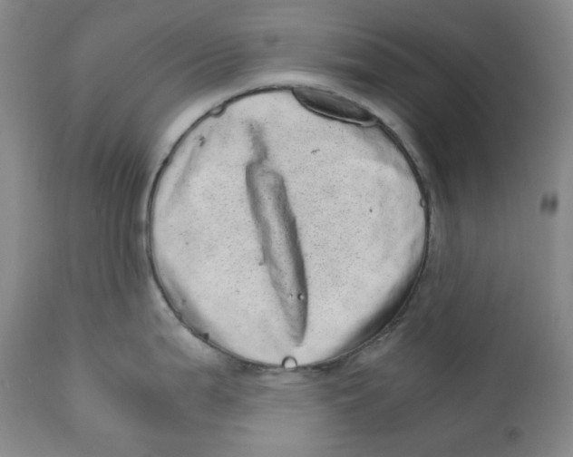 X0000110871199200907161431