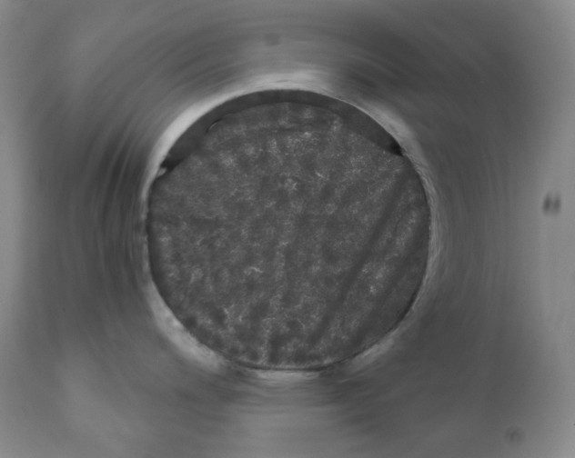 X0000110871200200907161431