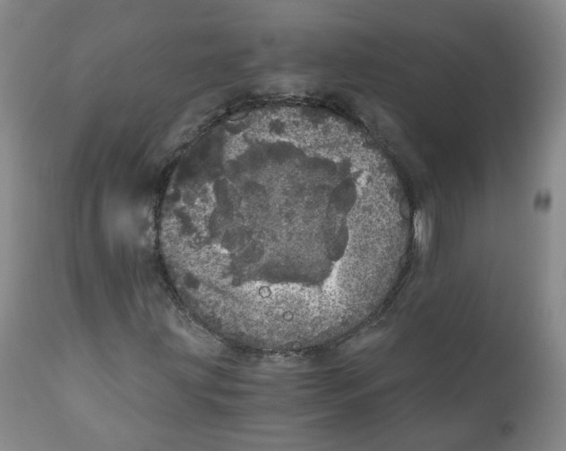 X0000110871203200907161430