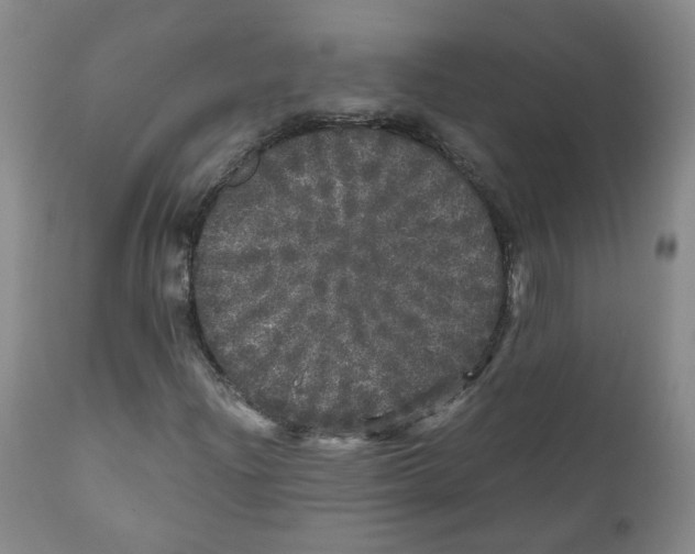 X0000110871204200907161430