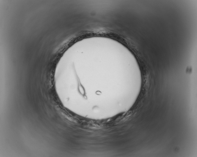 X0000110871205200907161430